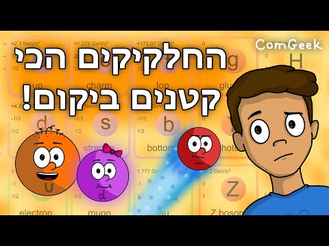 וִידֵאוֹ: מהם החלקיקים האלמנטריים