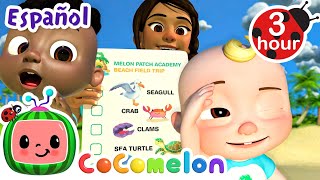 Echa un vistazo bajo el agua con la clase | CoComelon y los animales 🍉| Dibujos para niños by CoComelon y Animales - Canciones infantiles 8,176 views 10 days ago 2 hours, 56 minutes