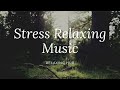 Mind relaxing music  stress relief music  relaxing hub