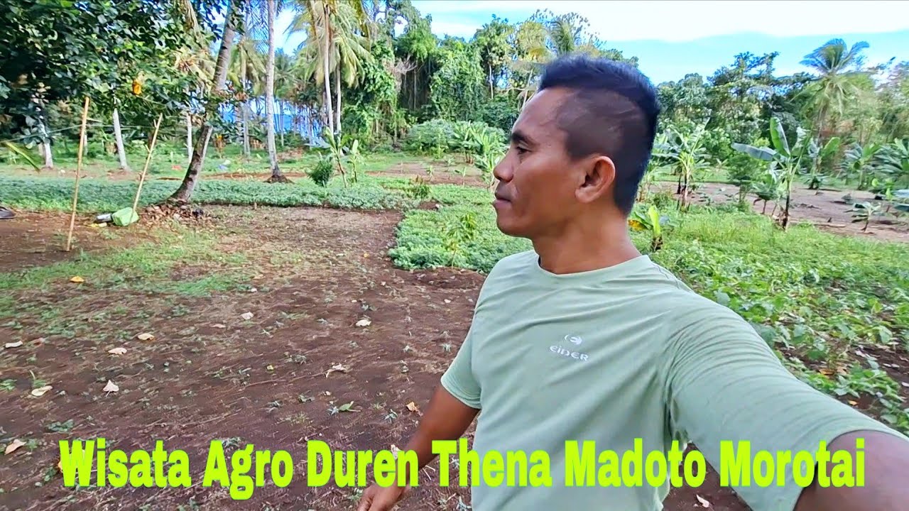 Wisata Agro Duren Thena Madoto | Morotai