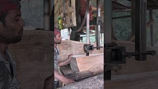 Wood processing at sawmill #woodworking #sawmill #wood