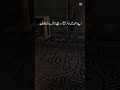 Untitled video