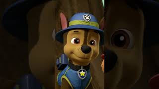 Silly Monkeys stole the repair tools! #PAWPatrol #shorts