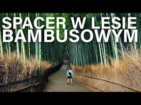 Wideo: Kryształy I Bambusowy Las