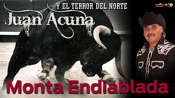 Juan Acuña Y El Terror Del Norte - Monta Endiablada (Video Oficial) Corrido