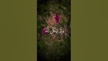 سورة الاخلاص محمد اللحيدان #قرآن #اكسبلور #المصحف #لايك #قران_كريم