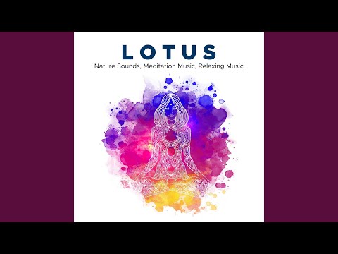Popular Videos - Relaxing Mindfulness Meditation Relaxation Maestro