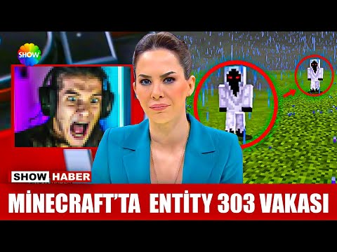 Minecraft AMA Tüm İnternet'i SAHTE ENTİTY 303 İle TROLLEDİM