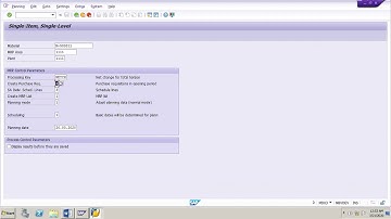 SAP MM MRP_Test Exercise on Planning run Part 3 Planning Result