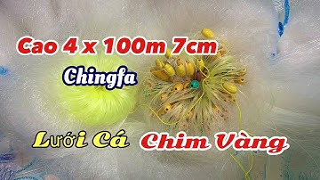 Lưới Cá Chim Vàng | Cao 4x100m 7cm / 18 CF Mặt Ngang / Trên Dưới Thắt Cước Đúc 100 . Phao ABS .