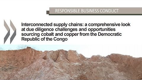 Webinar on the report Interconnected supply chains with Chinese subtitles