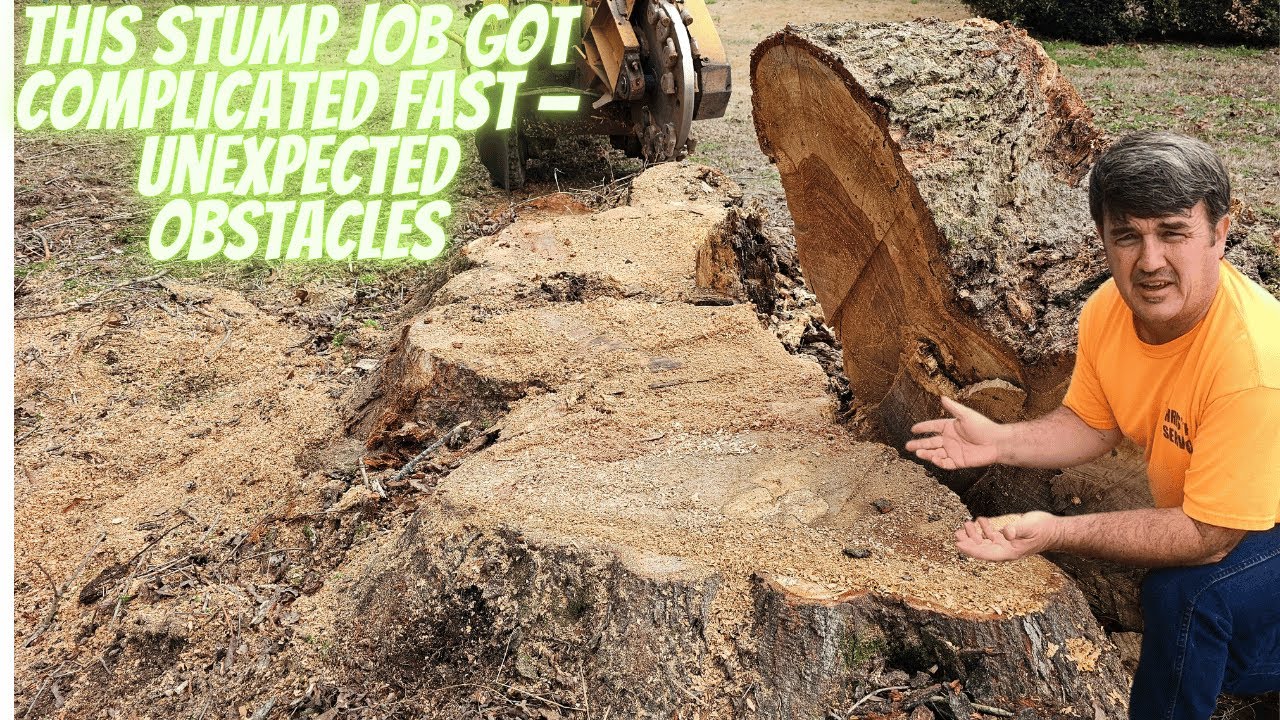 This Stump Job Got Complicated Fast — Unexpected Obstacles