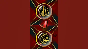Allha Hi Allha Religion Trendingshorts Beautiful Muslimreligion Subscribe AbdulQadir Najfi 
