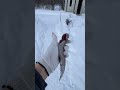 #Canada 🇨🇦 bu yilning, boshlanish kichik bir sayoxat! 2025/01/26 #icefishing #Québec #snowfish