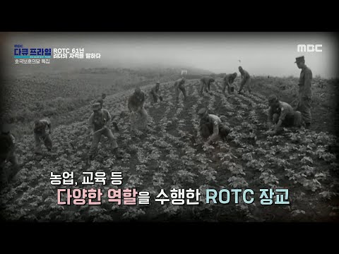 [MBC 다큐프라임] 기업 등 사회 다양한 분야에서 엘리트 인재로서 각광받은 <strong>ROTC</strong>, MBC 220627 방송