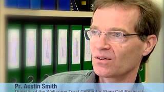 Austin Smith, Winner of the 2010 Louis Jeantet Prize for medicine