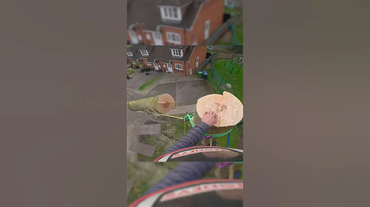 Negative rigging. Beech take down. Team work on tools! #treework #rigging #arborist #arbortec