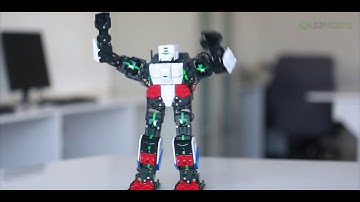 Leap Robot