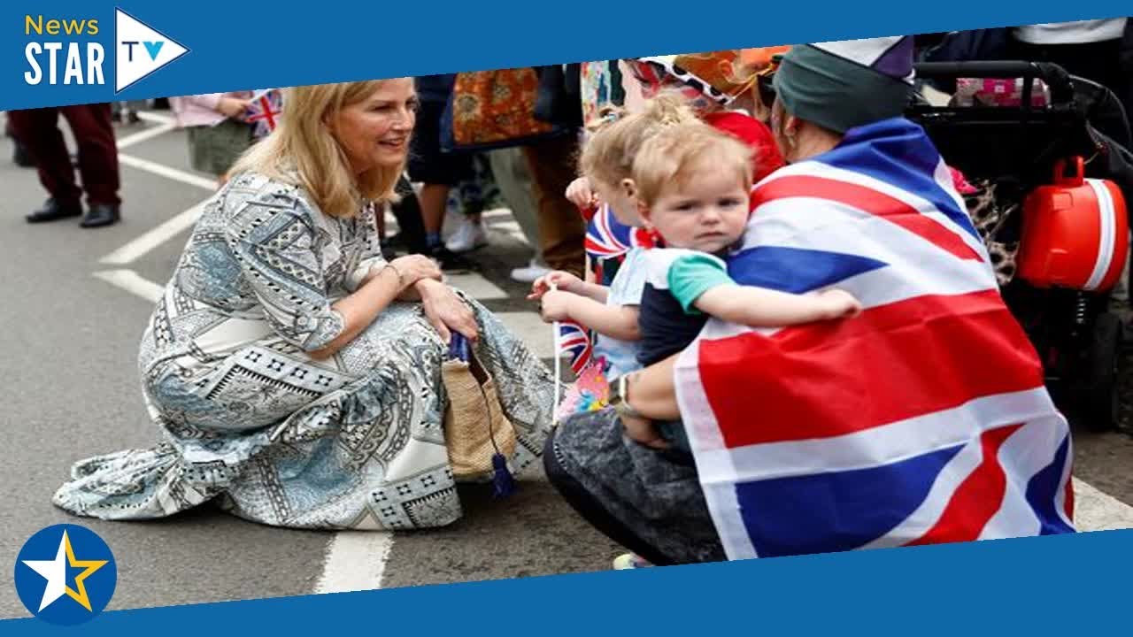 Woman, 81, hit by Royal motorcade 'in coma' as 'family sickened' - YouTube