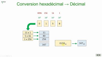 ELNU - Le code hexadécimal (partie 1)