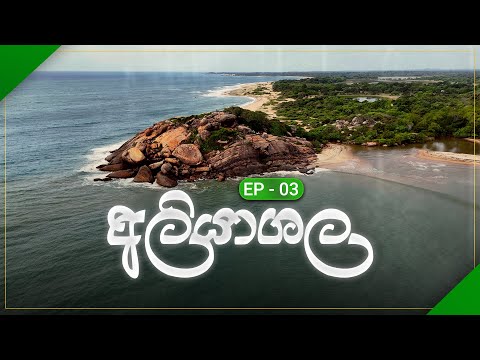 Elephant Rock in Sri Lanka | අලියා ගල | Kumana