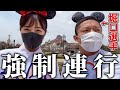 【待望】まやかしだと言う堀口選手にディズニーを案内した結果…