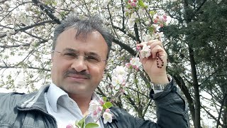 Muhteşem İlkbahar Görüntüleri