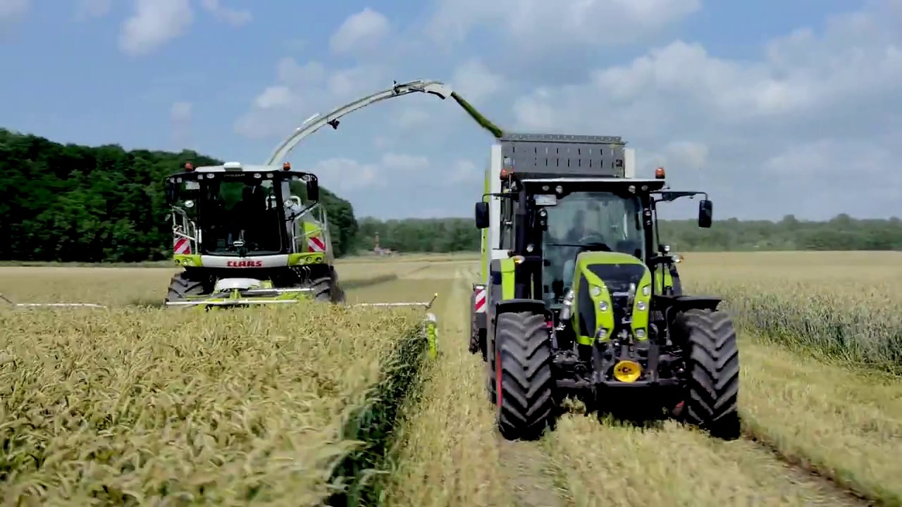 CLAAS JAGUAR 870830 YouTube