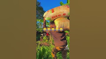 Vác 2 bao cà phê vác cái kết té xuống đường #shorts