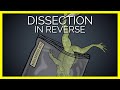 Where Do Animals Used For Dissection Come From?