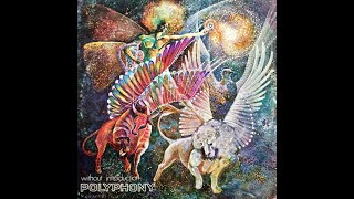Polyphony — Without Introduction 1971 (USA, Progressive Rock) Full Album