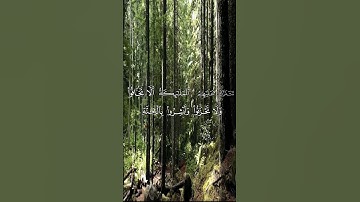 ارح سمعك قليلا #أرح_سمعك #القرآن_الكريم #ارح_قلبك #تلاوة_خاشعة #راحة_نفسية #ياسر_الدوسري #سورة_فصلت