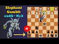 Tricky elephant gambit  2 3 exd5nc3