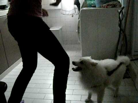 Girl nasty humping sex video sexy swedish