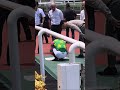 《北村友一騎手のファンサービス》   阪神競馬5R ２歳新馬 記念撮影後、ファンに記念のサインを書いて渡す   20260606