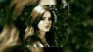 Lana Del Rey - Dark Paradise x Summertime Sadness