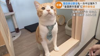 猫店長も歓迎!? “ 全国旅行支援”に三重県の旅行会社「予約３倍 断然沖縄が人気」(2022/9/30)