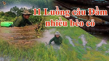 3 ngày 2 đêm 1 mình 11 luồng câu  Nguyễn Chanh săn cá lóc đập Phước Hòa