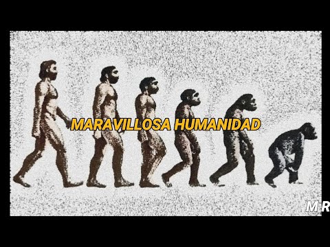 Hello Sleepwalkers - Saru Wa Ki Kara Doko e Ochiru (Sub español)