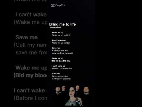 Bring Me To Life Evanescence Lyric 