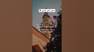 لا إله الا الله ❤️ #قرآن #تلاوة_خاشعة #capcut #راحة_نفسية #هدوء