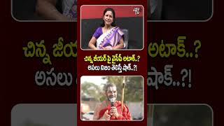 చిన్న జీయర్ పై వైసీపీ అటాక్..? అసలు నిజం తెలిస్తే షాక్..?| YCP Leaders | Jagan | Wild Wolf Telugu