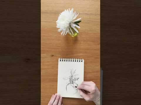 Saturday S Sketch Sketchbooktour Draw Drawing Timelapseart