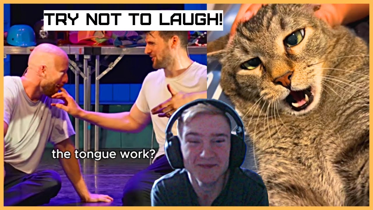 Suffering through Try Not To Laugh TikTok edition