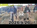 اليوم من سوق حد درى 2026 4 26 ثمن حولي العيد من 1600درهم العجول ماعز الخير موجود 