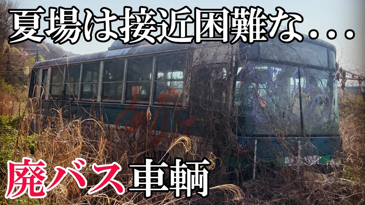 廃墟探索】滋賀県の幹線道路脇に遺る、夏場は藪で接近困難な廃バス車輌