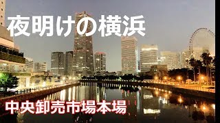 【トラック】【横浜】大人の社会見学シリーズ夜明けの本場　中央卸売市場を車窓から