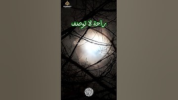 قالوا أأنت فعلت هذا بآلهتنا ياإبراهيم/  القارئ ياسر الدوسري #قرآن سورة الأنبياء  #اكسبلور  #quran