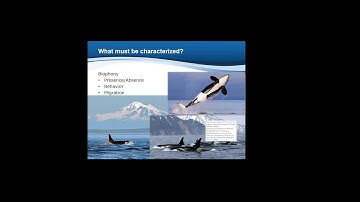 Passive acoustic monitoring technology and applications