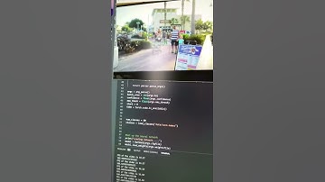 Pytorch/darknet object detection.